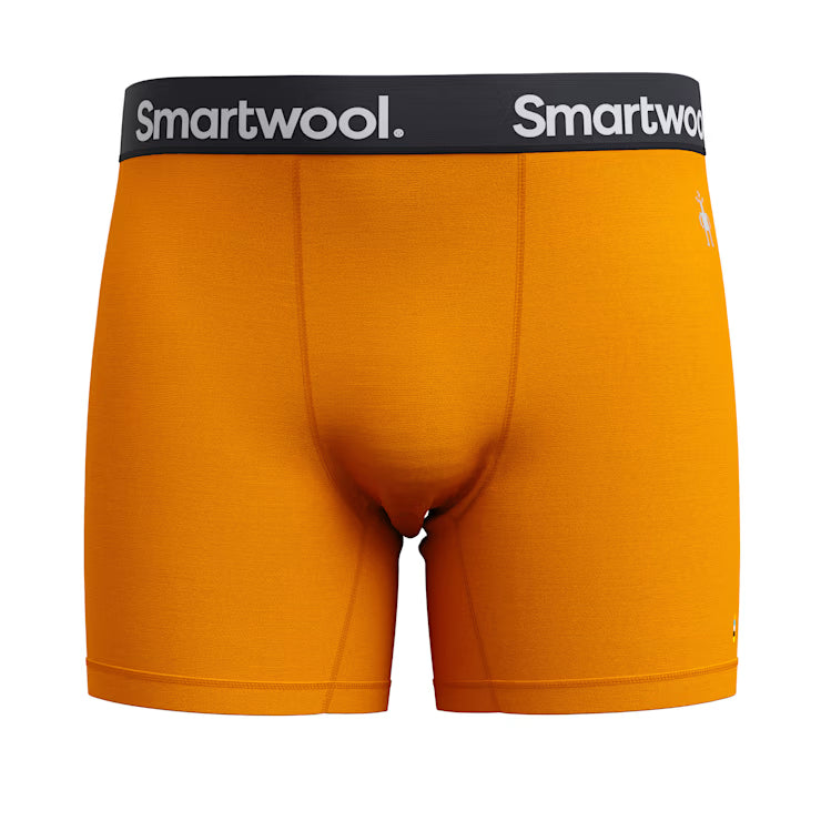 Smartwool Merino - Men's Active Boxer Brief Boxed - Image 3