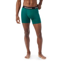 Smartwool Merino - Men's Everyday Merino Boxer Brief