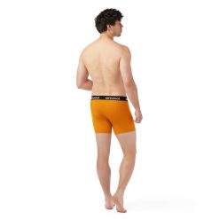 Alternative view of Smartwool Merino - Men's Active Boxer Brief