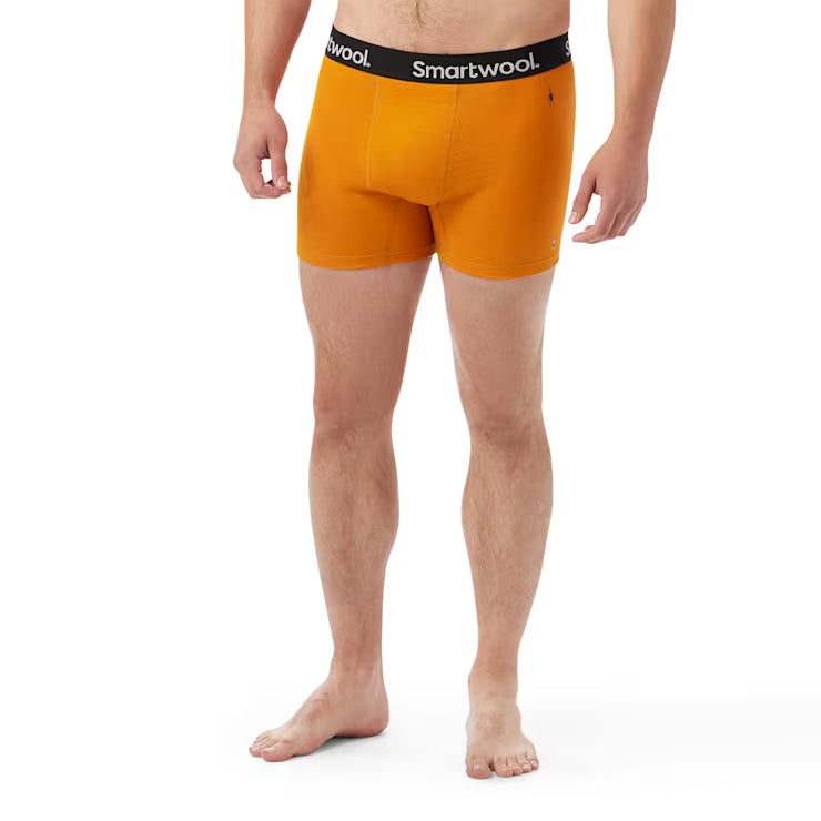 Smartwool Merino - Men's Active Boxer Brief